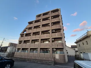 ソレイユ ルヴァンの画像
