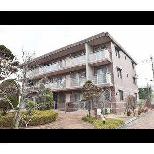 ステラ23 S棟の画像