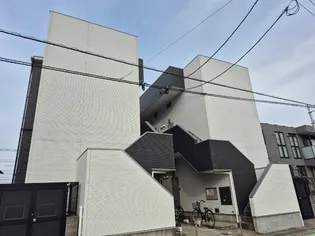 ステラ伯玄の画像