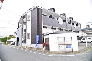 プラムコートリサの画像