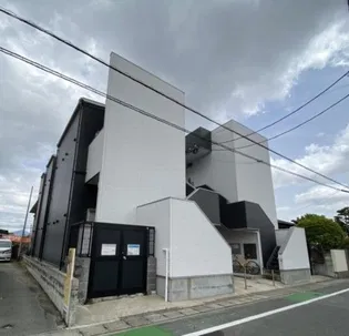 ステラ伯玄の画像