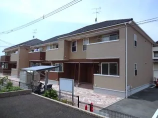 SHINO MATOOKA Bの画像