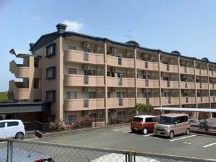 ボーフェンドゥリーの画像