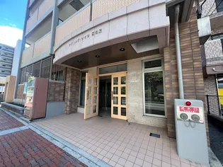 レシェンテ・ヴィラ日の里【303号室】の玄関