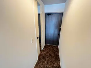 ヴァン・ヴェールⅡ【401号室】の玄関