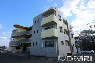 ドリームリマの画像