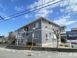 リビングウィンの画像