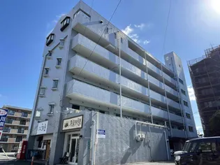 ドメールMの画像