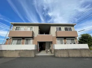 アムール美明の画像