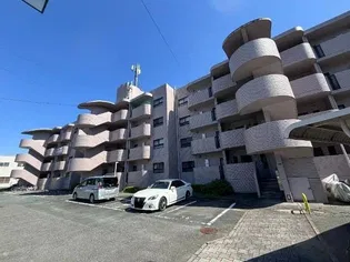 ピノ津丸の画像
