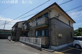 ベルメゾンT Mの画像