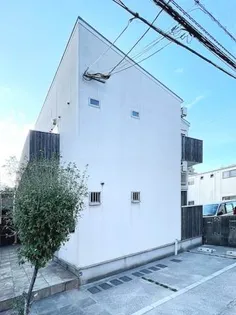 ポルックスの画像