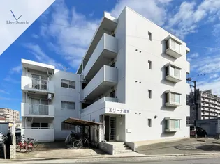 エリーナ高宮の画像