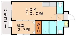 ルッシェ竹下駅前【8階】の間取り