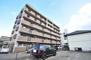 アレーグレ Sの画像