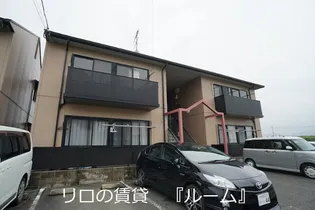 クロッカスCの画像