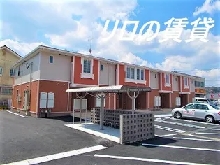 エデウス A YIIの画像