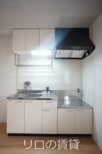 第2コーポラス枝国【1階】のキッチン