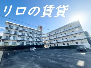 ロワールイン幸袋【312号室】の外観