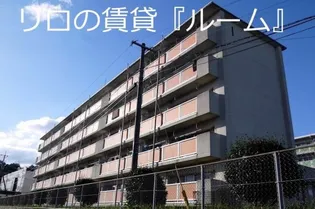 ビレッジハウス庄内1号棟【5階】の外観