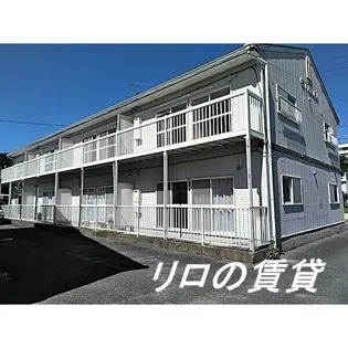 フローラル椿Bの画像