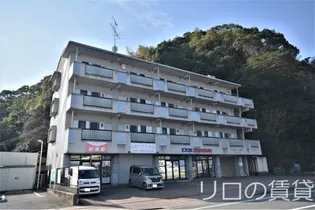 クオリスRの画像