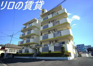 FLAT5 池主の画像