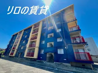 ハイラム ビンガム コーポラス城崎の画像