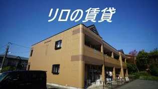 アイリスの画像