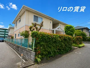 ステラハイムの画像