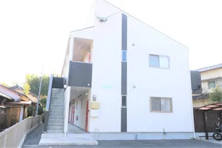 ショコラティ枝国の画像