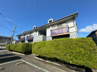 メロディビューラーの画像