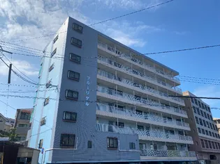 ブルーリゲルの画像