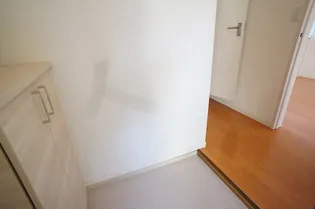 ヴィラコリーナ【203号室】の玄関