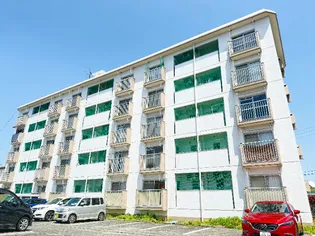 TS崎村ビルの画像