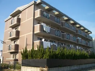 カーサ ミラクロスの画像