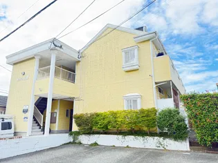 ウイング山愛の画像