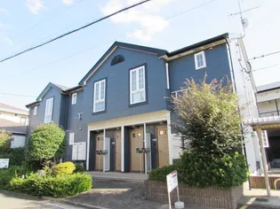 リベラール籐の画像