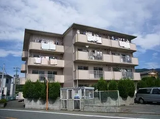 エクセレント村嶋の画像