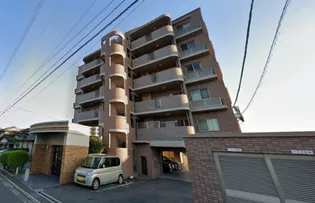 エーデルピオーネの画像