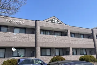 CELEBRITYの画像