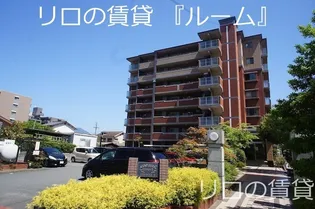 コスミオスコートの画像