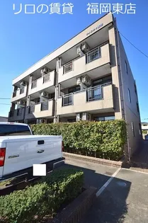 福岡県糟屋郡志免町別府1丁目【マンション】の外観
