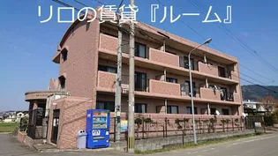 SALUS21 SUEの画像