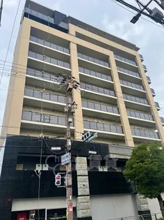 AMKレフィナード中宮の画像