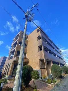 カリーノRプリマヴェーラの画像