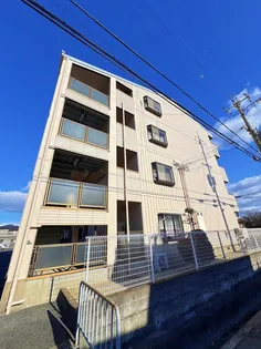 ニューサンライズの画像