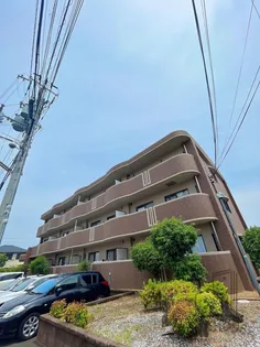 サン ローレルの画像