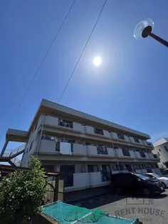 サン シードの画像