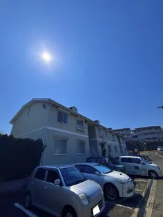 エヴァーウィンⅠの画像